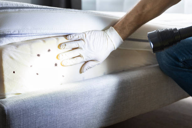 Best Flea Control Services  in Upper Exeter, PA
