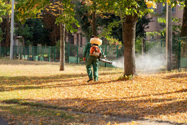 Best Rat Extermination Near Me  in Upper Exeter, PA