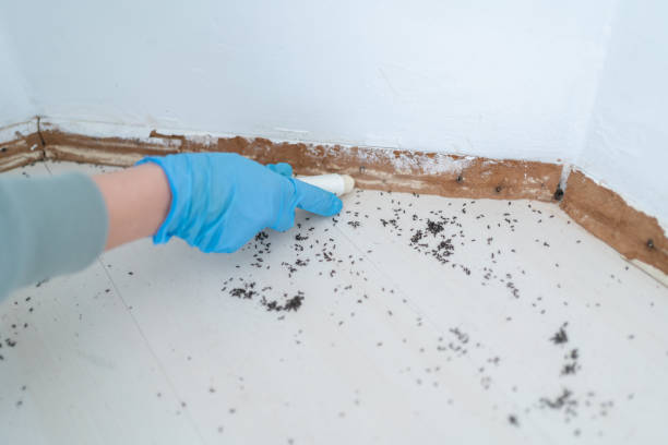 Best Insect Control  in Upper Exeter, PA