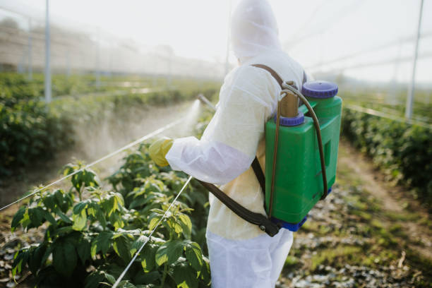 Best Pest Control Near Me  in Upper Exeter, PA